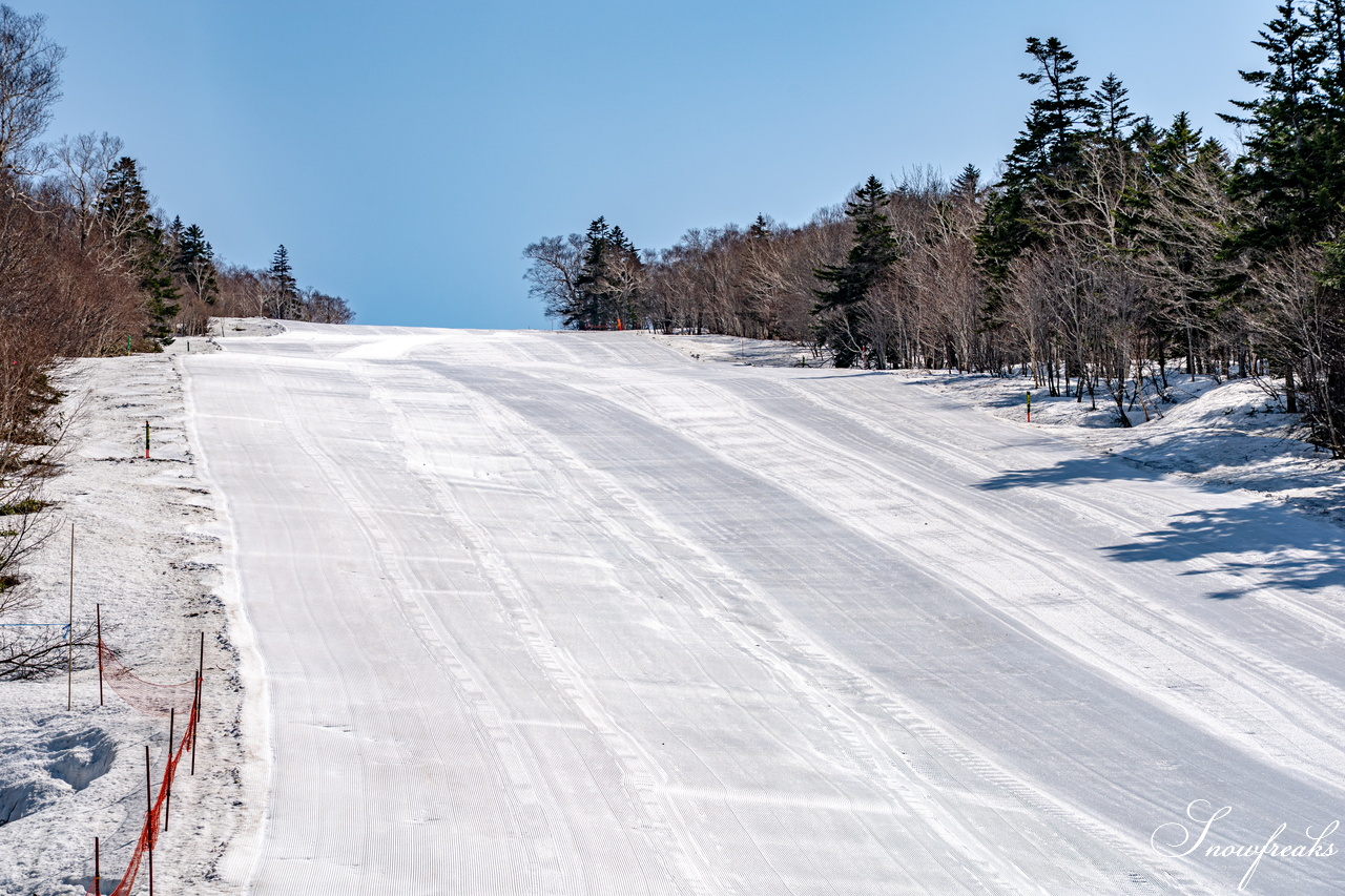 キロロリゾート｜ポカポカ陽気で絶好の春スキー日和♪こんな日は、みんなで思いっきり春雪を満喫しましょう！